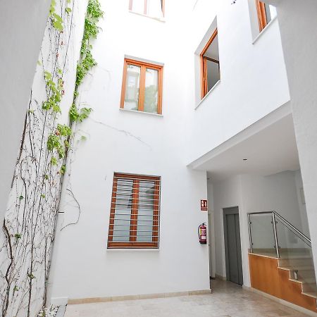 Renthas Vid Loft Apartman Málaga Kültér fotó
